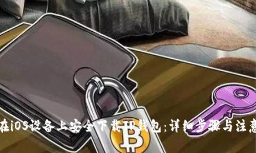 如何在iOS设备上安全下载TP钱包:详细步骤与注意事项