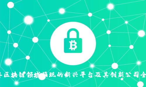 2023年区块链领域涌现的新兴平台及其创新公司全景揭秘