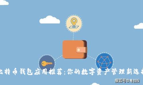 比特币钱包应用推荐:你的数字资产管理新选择