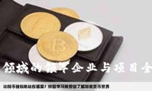 区块链领域的领军企业与项目全景解析