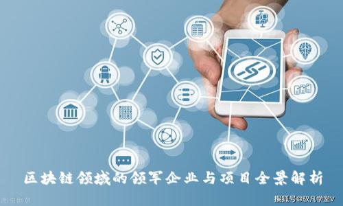 区块链领域的领军企业与项目全景解析