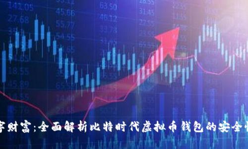 保护数字财富:全面解析比特时代虚拟币钱包的安全性与功能