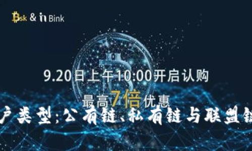 全面解析区块链账户类型:公有链、私有链与联盟链的主要区别与应用