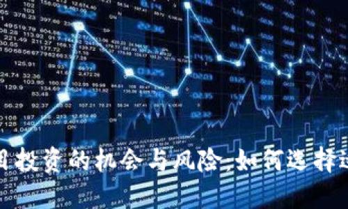 深入探究区块链项目投资的机会与风险:如何选择适合的项目进行投资