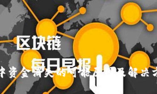TP钱包中资金消失的可能原因及解决方案详解