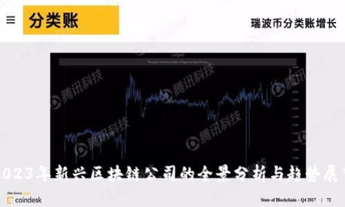 2023年新兴区块链公司的全景分析与趋势展望