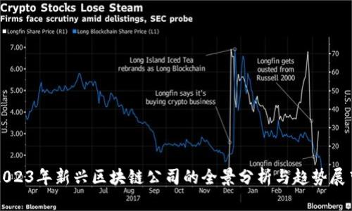 2023年新兴区块链公司的全景分析与趋势展望
