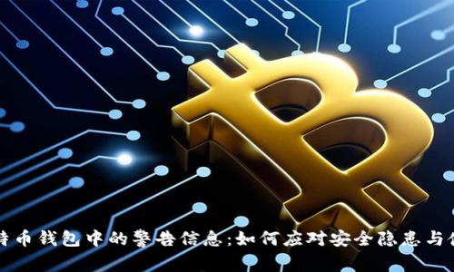 了解比特币钱包中的警告信息：如何应对安全隐患与使用体验
