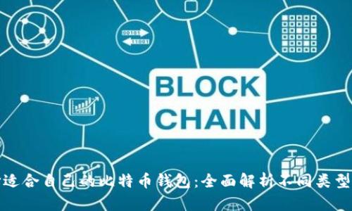 如何选择适合自己的比特币钱包：全面解析不同类型及其优势