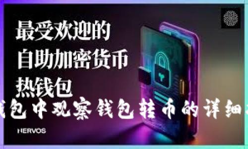 TP钱包中观察钱包转币的详细指南