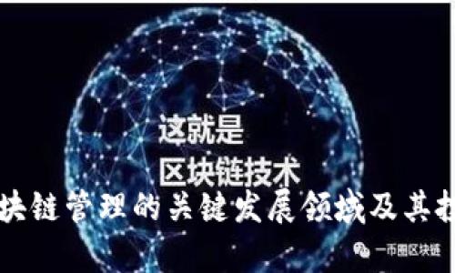 未来十年区块链管理的关键发展领域及其投资机会分析