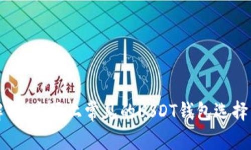 全面解析：市场上常见的USDT钱包选择与特点