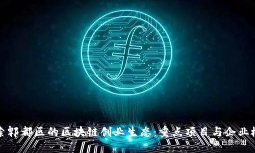 探索郫都区的区块链创业生态:重点项目与企业概览
