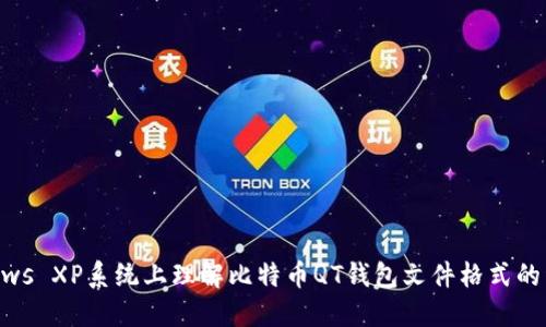 在Windows XP系统上理解比特币QT钱包文件格式的详细指南