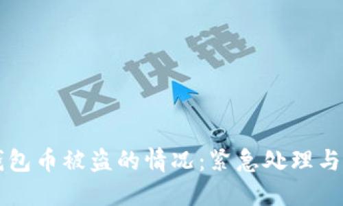 如何应对TP钱包币被盗的情况:紧急处理与安全防护指南