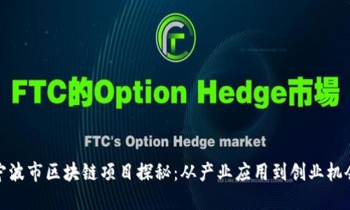 宁波市区块链项目探秘:从产业应用到创业机会