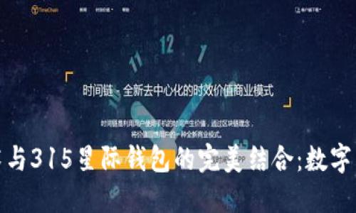 探索区块链技术与315星际钱包的完美结合:数字货币未来的趋势