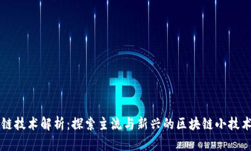 区块链技术解析：探索主流与新兴的区块链小技术类型