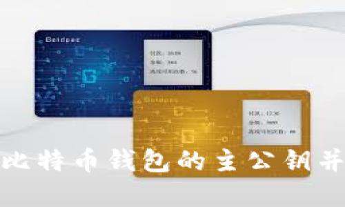如何安全导出比特币钱包的主公钥并确保资产安全