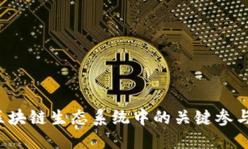 深入探讨：区块链生态系统中的关键参与者及其角色
