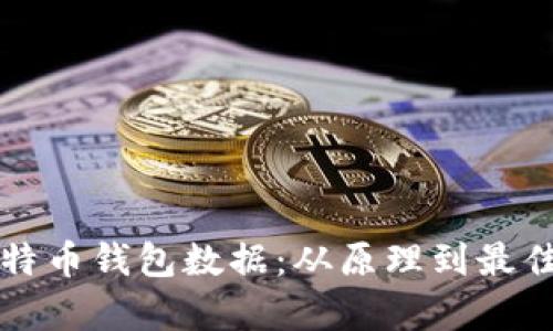 如何高效同步比特币钱包数据:从原理到最佳实践的全面解析
