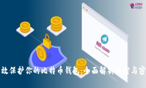 如何有效保护你的比特币钱包：全面解析加密与密码管理