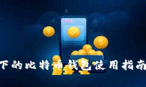 多种语言环境下的比特币钱包使用指南：从新手到专家