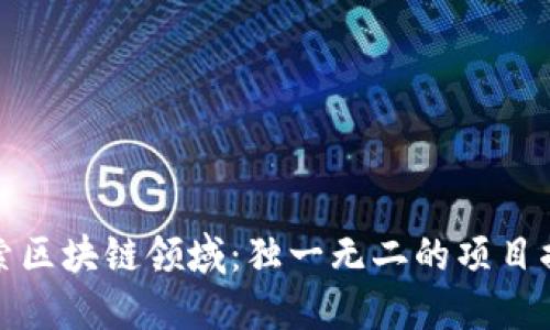 探索区块链领域：独一无二的项目揭示