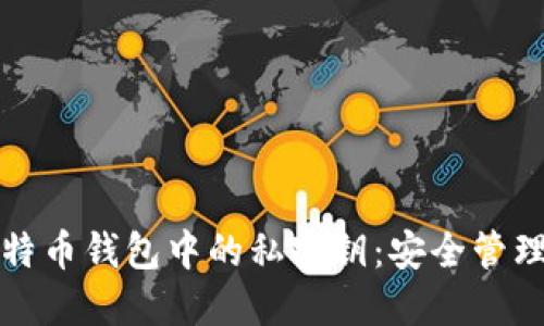 深入了解比特币钱包中的私密钥:安全管理与使用技巧