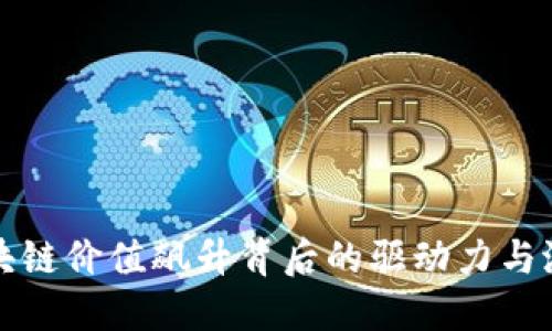探索区块链价值飙升背后的驱动力与潜在因素