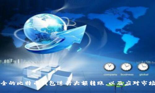 如何选择安全的比特币钱包进行大额转账,以及应对市场波动的方法