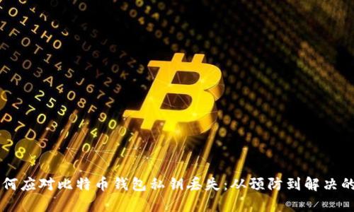 bip/bip如何应对比特币钱包私钥丢失:从预防到解决的全面指南
