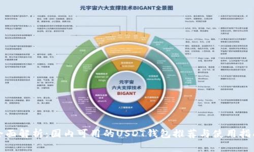 全面解析:国内可用的USDT钱包推荐与使用指南