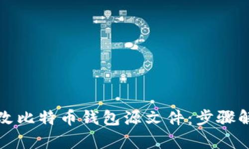 如何安全地修改比特币钱包源文件:步骤解析与技巧分享