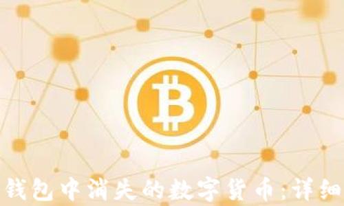 
如何恢复比特派钱包中消失的数字货币：详细指南与实用步骤