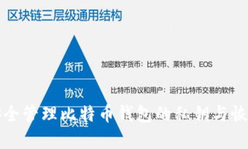 如何安全管理比特币钱包的私钥与恢复种子
