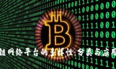 探索区块链网络平台的多