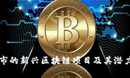 盘州市的新兴区块链项目及其潜力分析