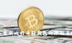 深入分析比特币轻钱包的