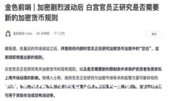 探索全球知名的比特币钱