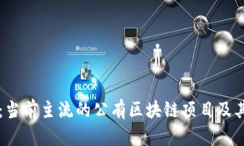 深入探索：当前主流的公有区块链项目及其应用分析