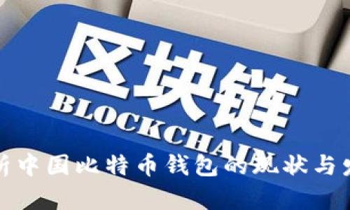 深入解析中国比特币钱包的现状与发展趋势