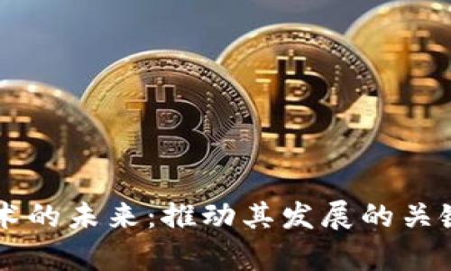 区块链技术的未来：推动其发展的关键因素分析
