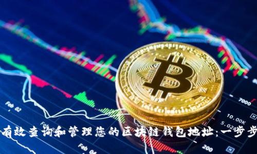 如何有效查询和管理您的区块链钱包地址：一步步指南