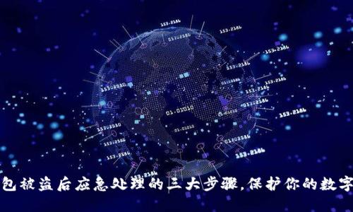 TP钱包被盗后应急处理的三大步骤，保护你的数字资产