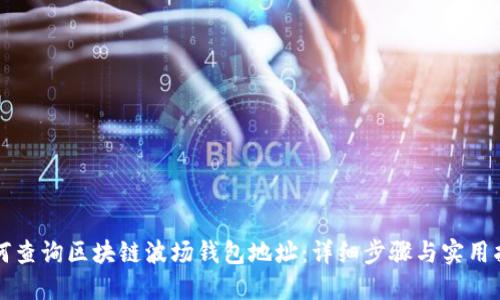 如何查询区块链波场钱包地址:详细步骤与实用指南