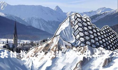 深入探讨区块链钱包地址追踪的技术基础与应用实践