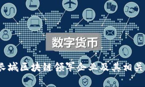 2023年长城区块链领军企业及其相关股票分析