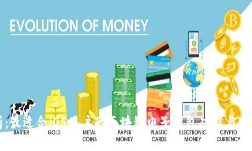 全面解析:最适合iOS用户的区块链电子钱包功能与安全性分析