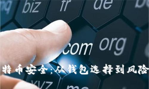 如何确保你的比特币安全:从钱包选择到风险防范的全面指南